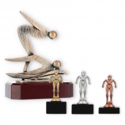 Swimming Trophies