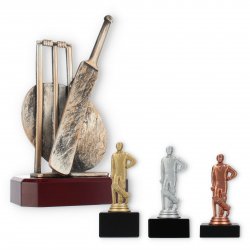 Cricket Pokale