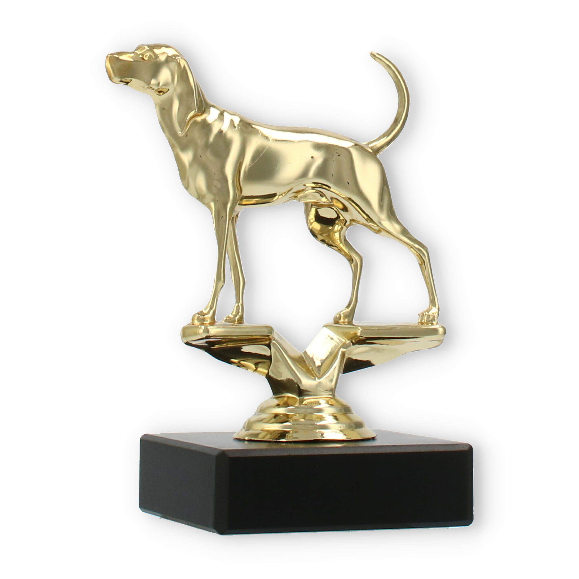 Treeing Walker Coonhound: traits, characteristics, health, image size:2000x2000