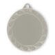 Medalla Dalin color plata