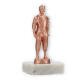 Trophy metal figure judo fighter bronze on white marble base 13,5cm