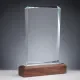 Glass trophy Cody in size 25,0cm