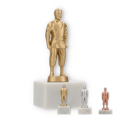 Trophy metal figure judo fighter on white marble base
