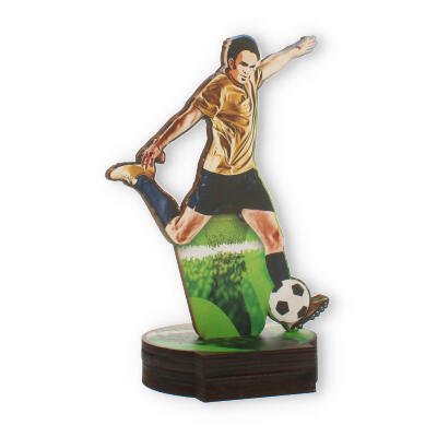 Trophy wooden soccer